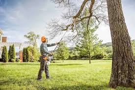 How Our Tree Care Process Works  in  Butler Beach, FL